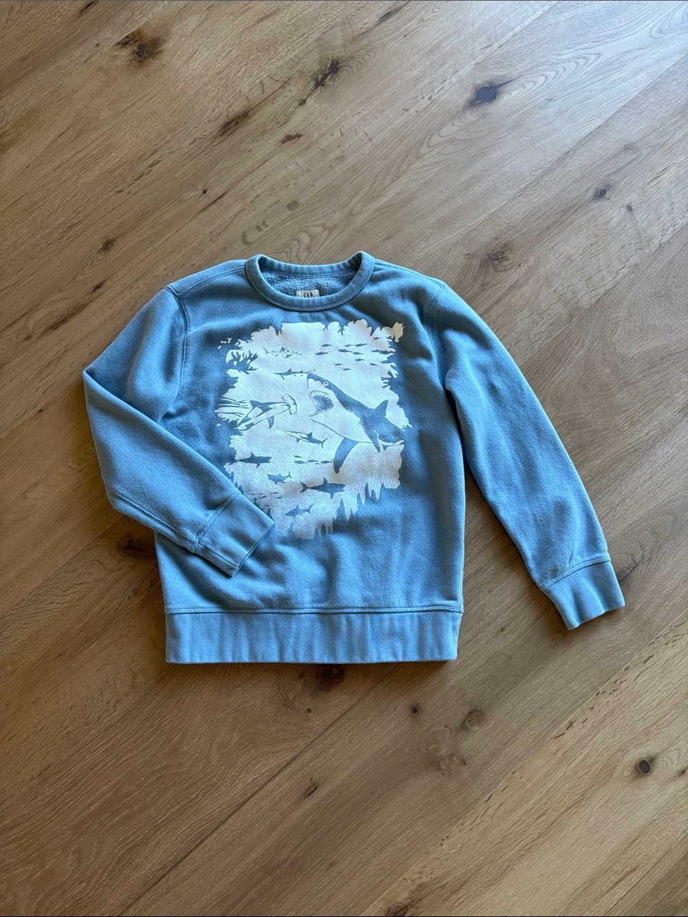 Gap Kids Unisex Crewneck Sweatshirt